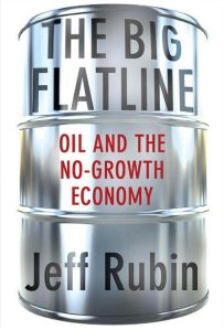 wpid-The-Big-Flatline-Cover.jpg