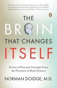 Brain