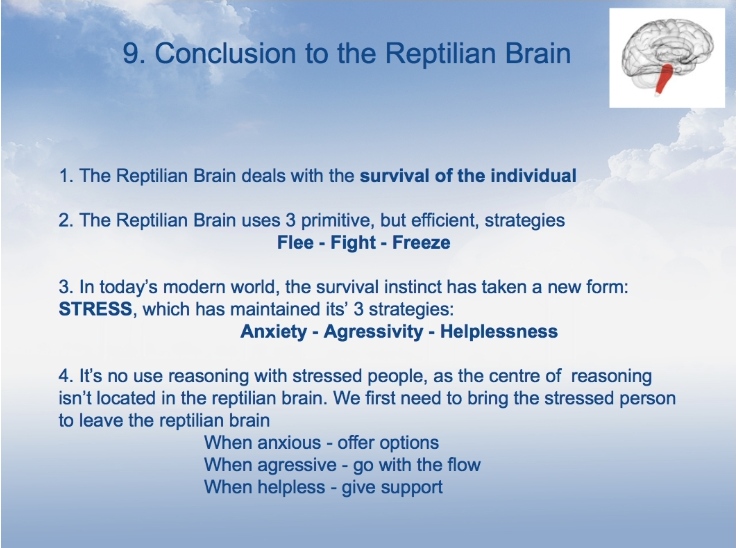 NBA316 Reptilian Brain Conclusion