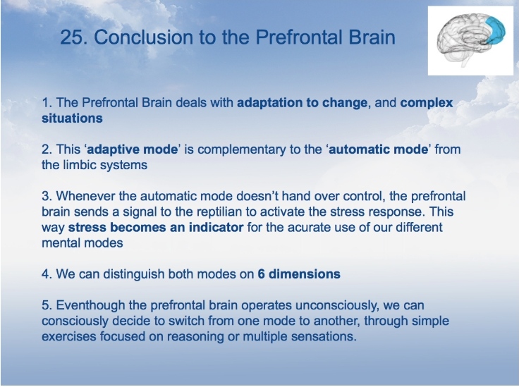 NBA757 Conclusion to the prefrontal brain